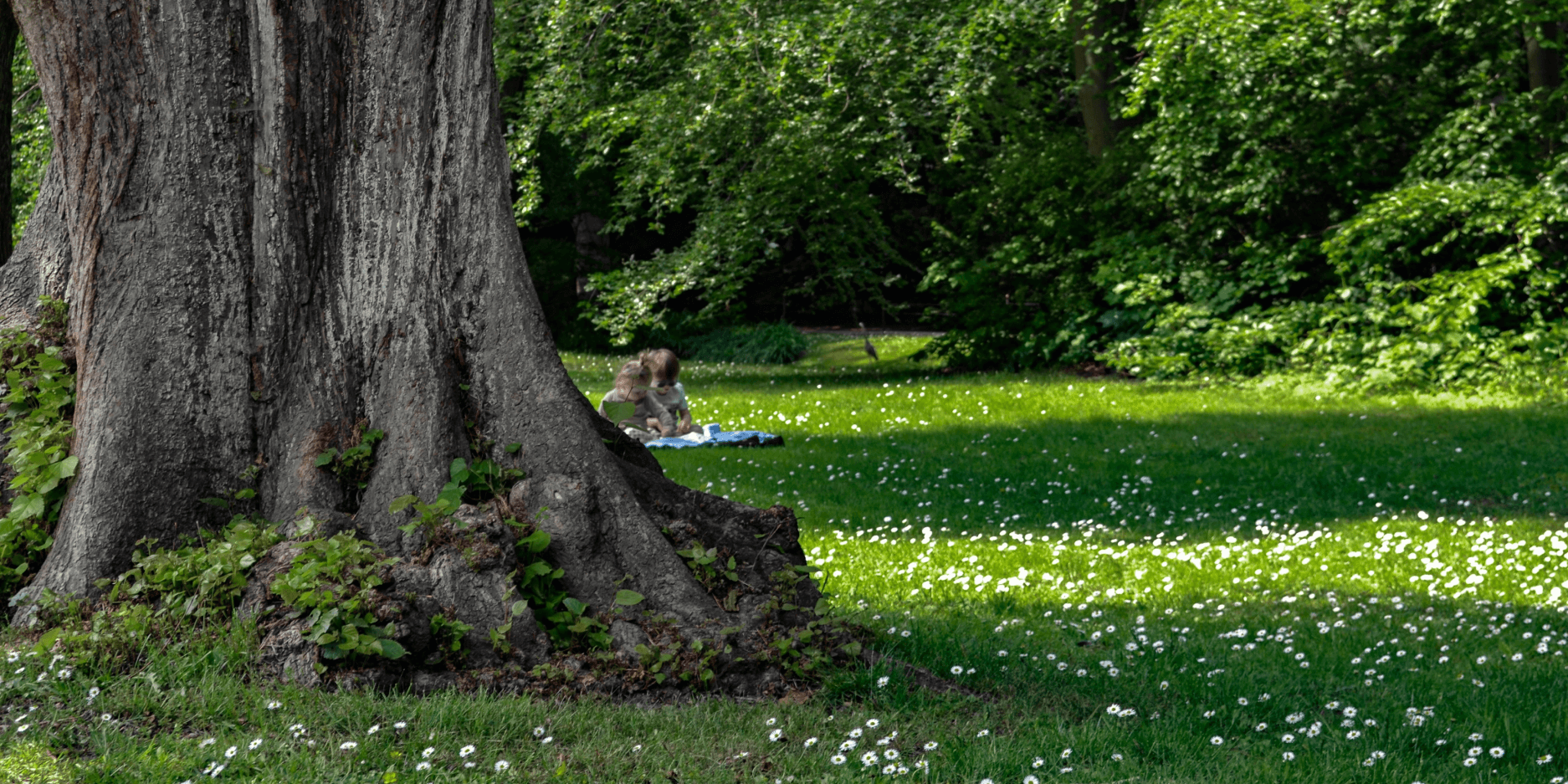 Naturstemning