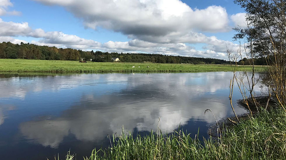 Frøperspiktiv billed fra gudenåen